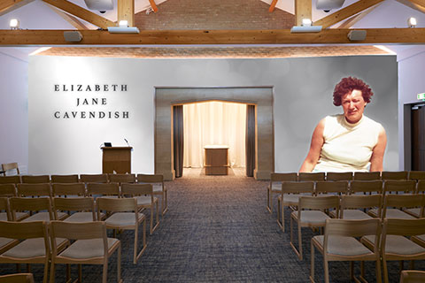 Classic Silver Projection Image