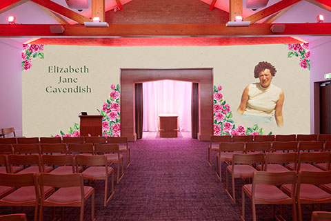 Pink Roses Projection Image